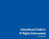 The International Guide to IP Rights Enforcement
