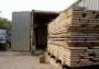 IMB notes trend in fraudulent timber shipments